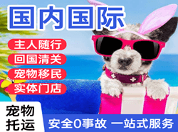 吕梁航空运输国际宠物托运 【国